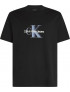 CALVIN KLEIN T-SHIRT GRAPHIC LOGO