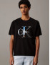 CALVIN KLEIN T-SHIRT LOGO FOTOGRAFICO