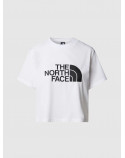 THE NORTH FACE t-shirt  logo