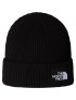THE NORTH FACE CAPPELLINO LOGO