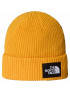 THE NORTH FACE CAPPELLINO LOGO