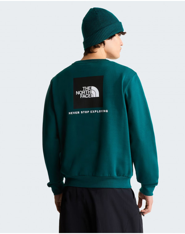 THE NORTH FACE LOGO SULLA SCHIENA